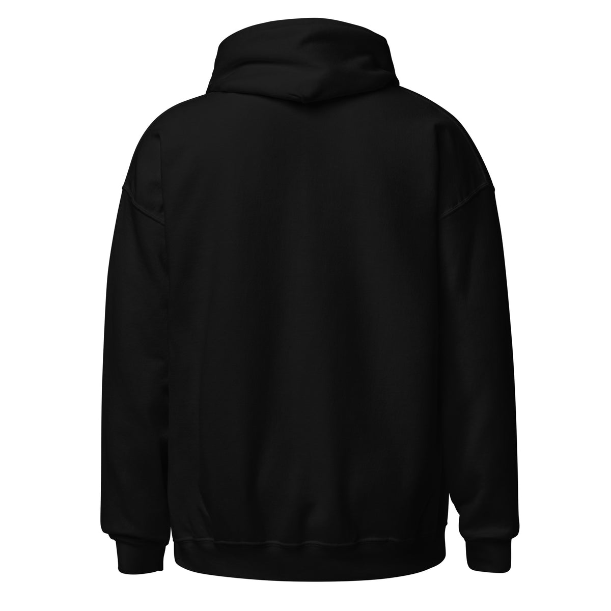 Back view of black Feral Flag pullover hoodie