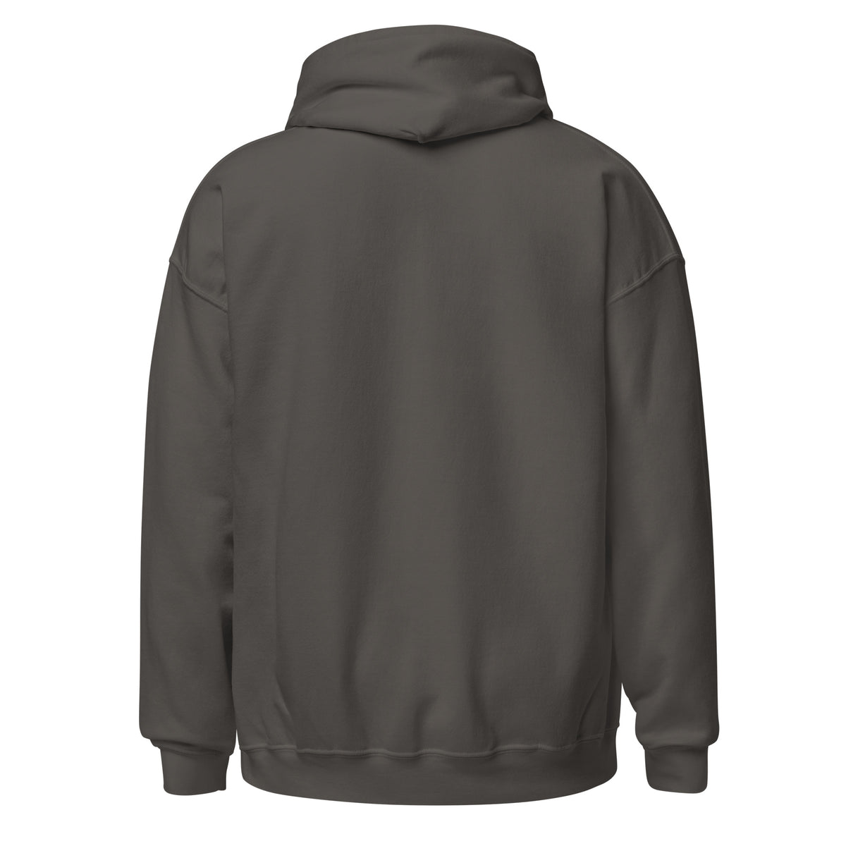 Back view of charcoal Feral Script pullover hoodie